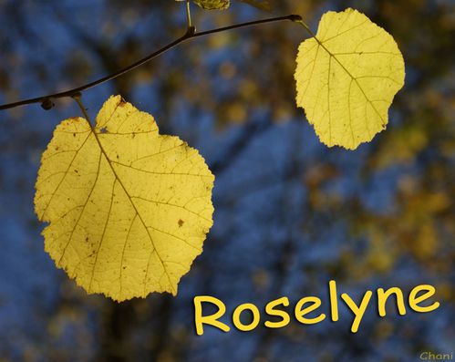 roselyne