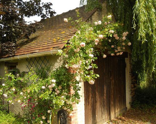 DSCN1805.JPG
