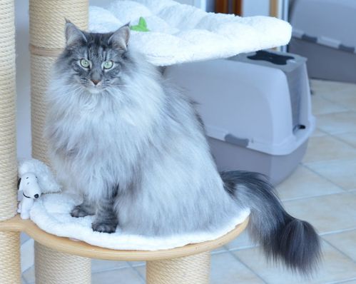 FINLO-20140001.JPG