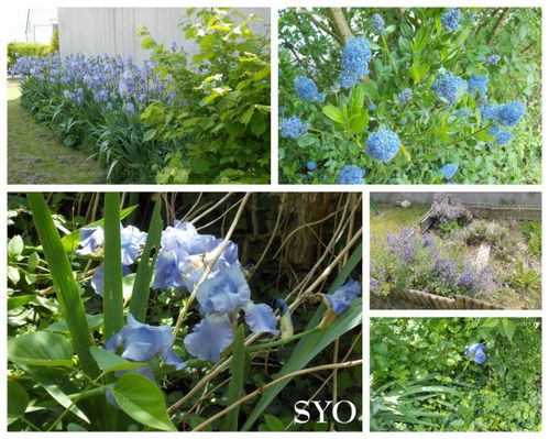 Jardin 19-05-2014-Mamigoz (7)