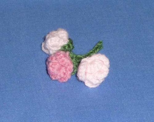 boutonrose3