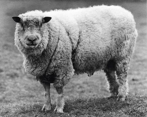 Avranchin---annees-1970---Cotentin---S.jpg