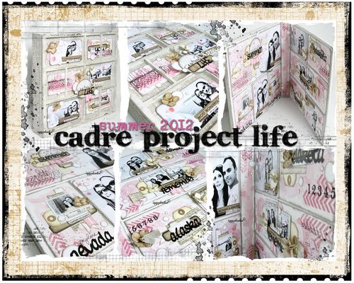 cadre project life
