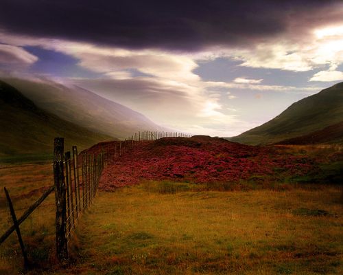 scotland