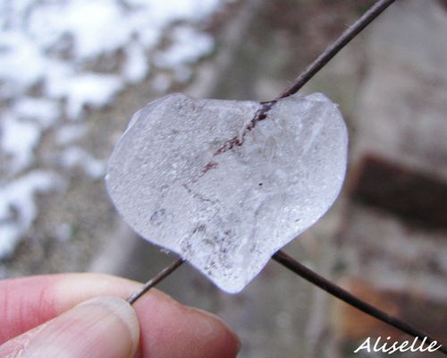 Coeur de glace février 2010 4