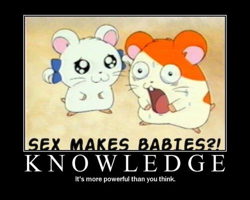 hamtaro