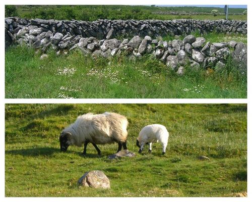 Irlande juin 201316