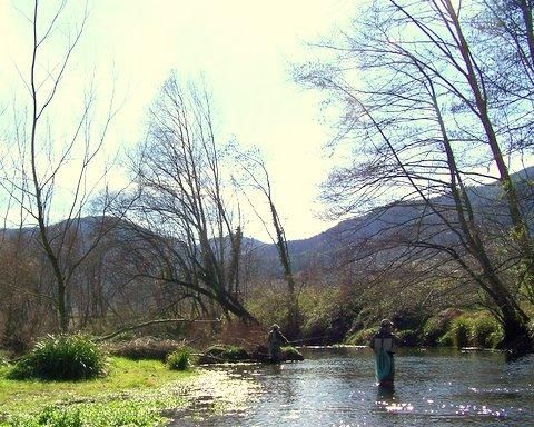 tyjty