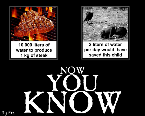 10_000_litre_pour_un_steak_001_ang_1024_728.png