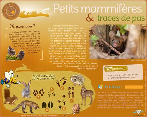 08_Petits-mammiferes-et-traces-de-pas_000001.jpg