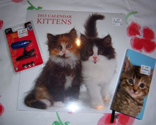 kit.jpg