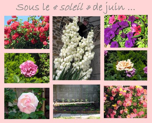 Image2-copie-1.jpg