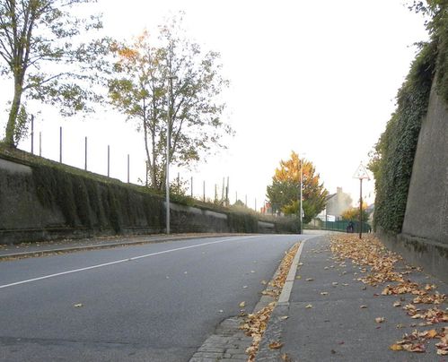 Feuilles caniveau