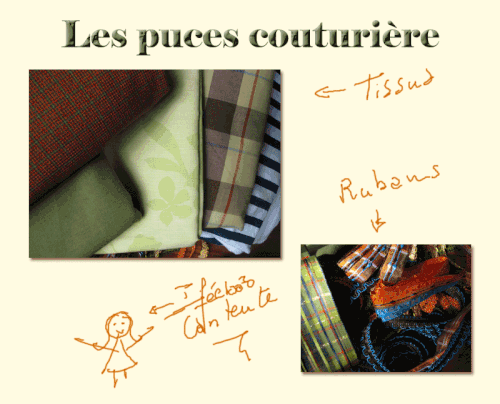 puces-couturiere.gif