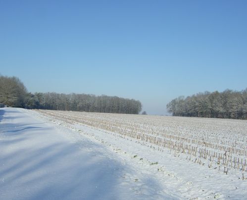 DSCF2696.JPG