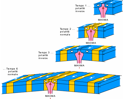 Lacuponcture à lombaire osteokhondroze