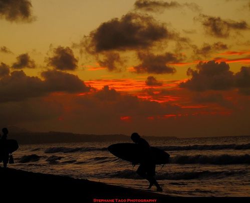 stephane-taco-photographie-martinique-3.jpg