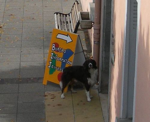 DSCN9006.JPG