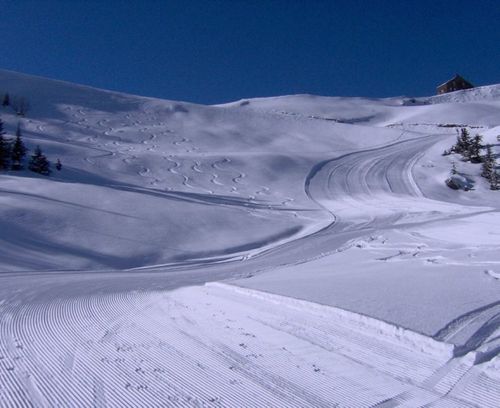 Le-Mourtis-en-novembre-2008.jpg