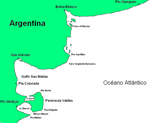 L'intrus du Golfo Nuevo ( GolfoNuevo