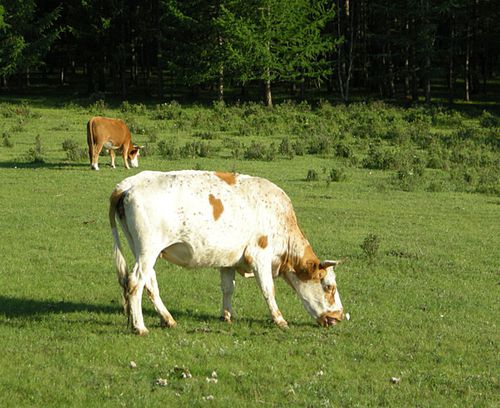 photo-8.jpg