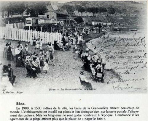 bône la grenouillere