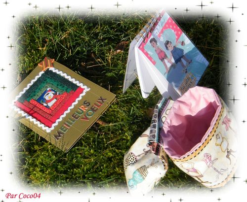 2011 noel coco04