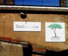 jardin 01