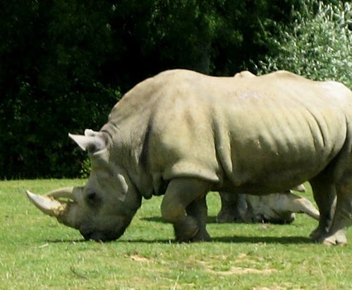 Bestioles 2808