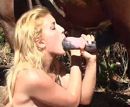 le sexe cheval video sexe en streaming le sexe cheval video sexe en streaming