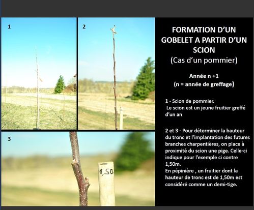 Formation1-copie-1.jpg