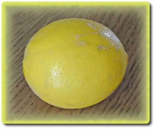 premier-citron-4.JPG