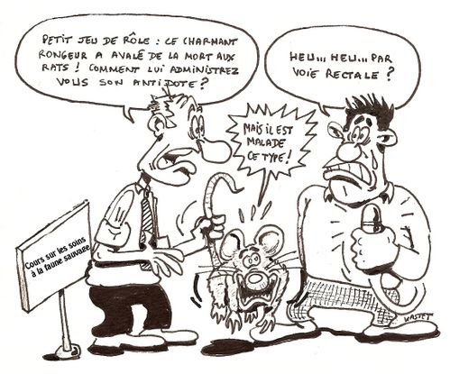 rat-copie.jpg