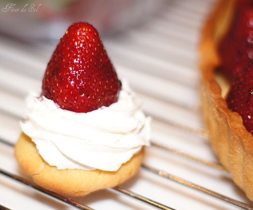 Tartelette fraise chantilly