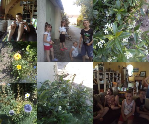 2013-07-13-juillet-2013.jpg