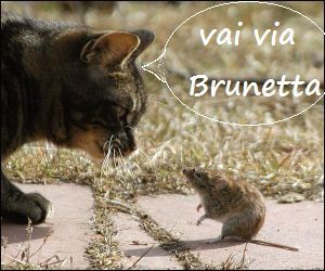 Brunetta.jpg