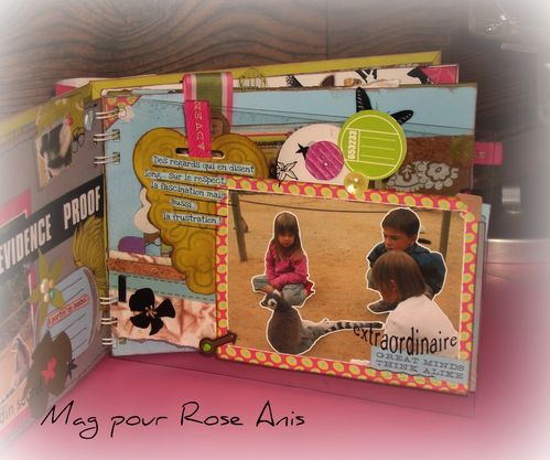 page 3 mini liège et rhodoïd