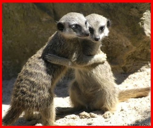 tendresse 9