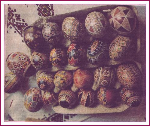 oeufs-2.jpg