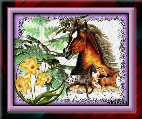 Chevaux-sauvages.jpg