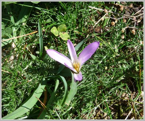P1060020bis