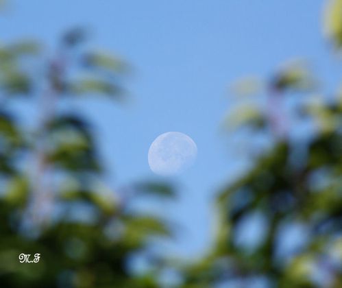 Ciel 27-09 009