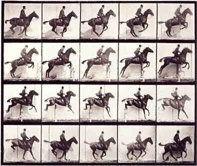 Décomposition du mouvement d'un cheval au galop, 1878