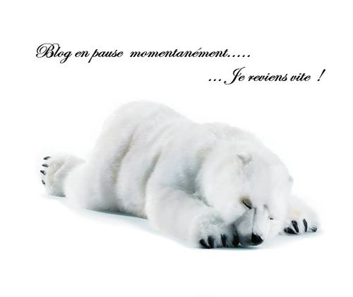 Anima-Peluche-ours-polaire-dormeur-4043