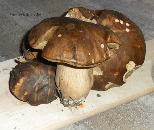 cepes.jpg