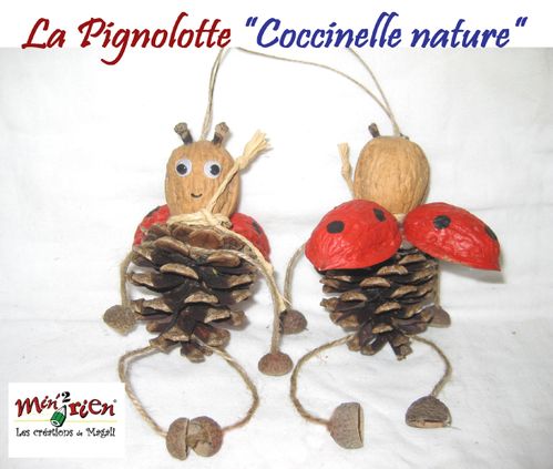 pignolotte-coccinelle-nature.jpg