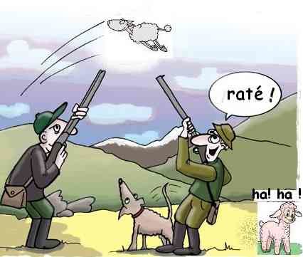 chasseur-laine-mouton.jpg