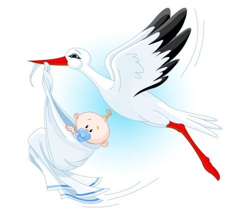 cigogne porte bebe
