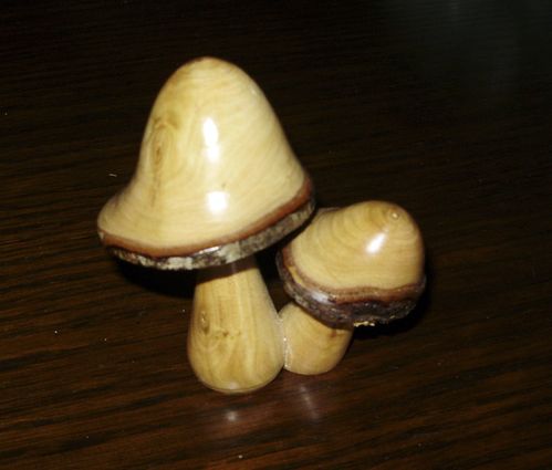 Champignons