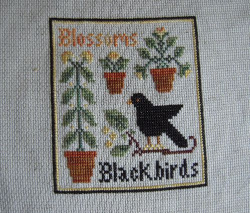 LHN Blossom and blackbird